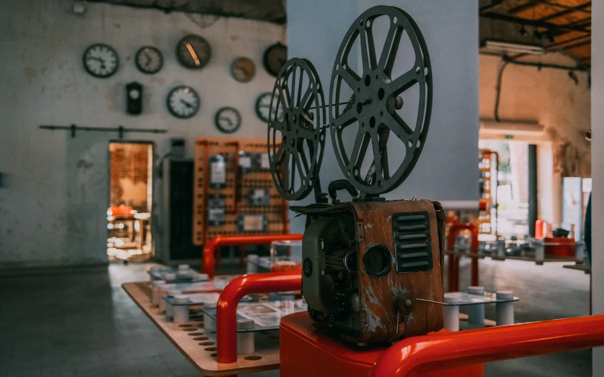 Piwnice, muzea, kino i kultura